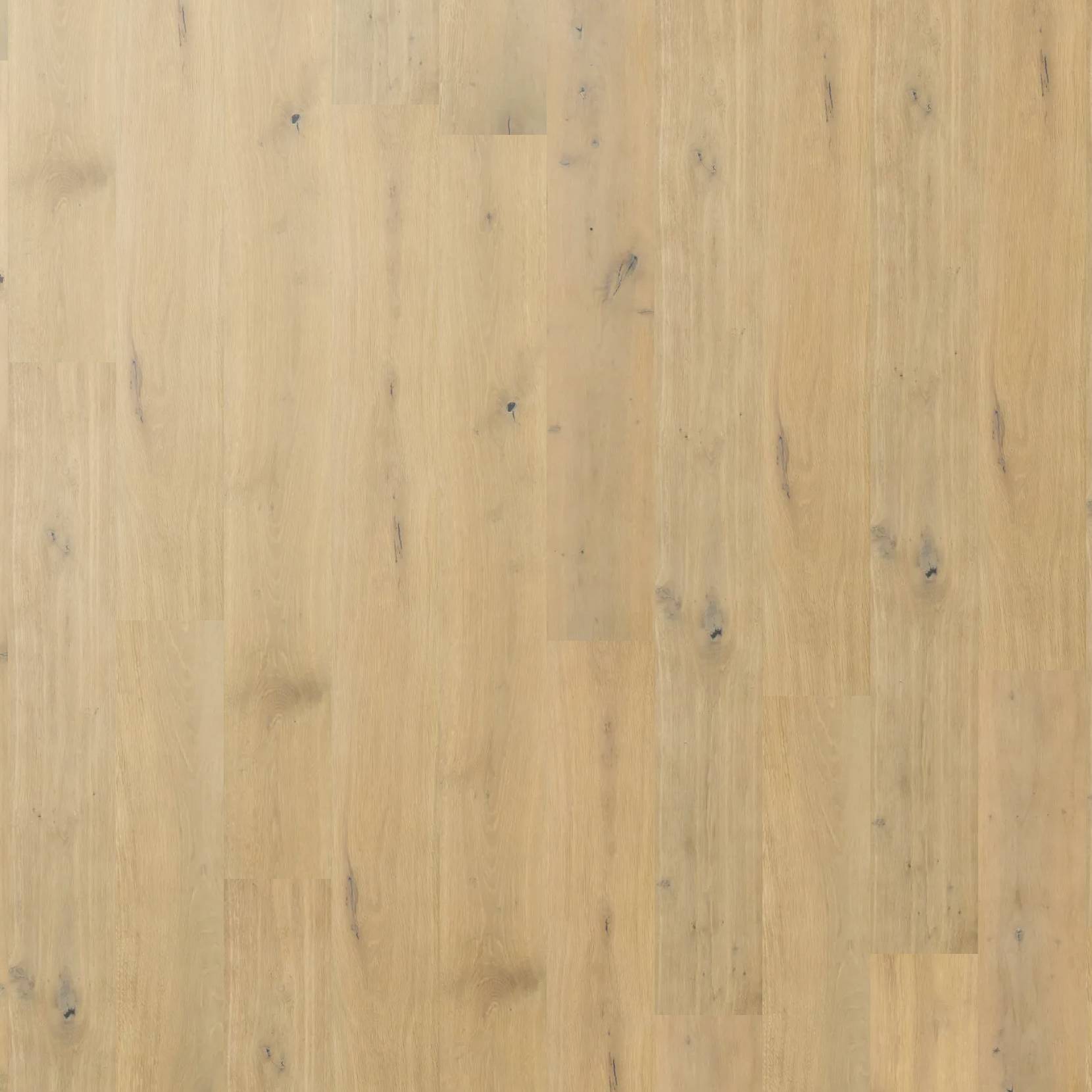 Chateau Oak - Willow Oak
