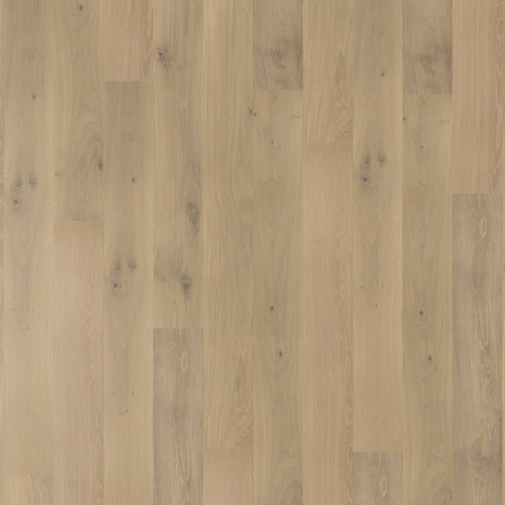 Chateau Oak - Alpine Oak