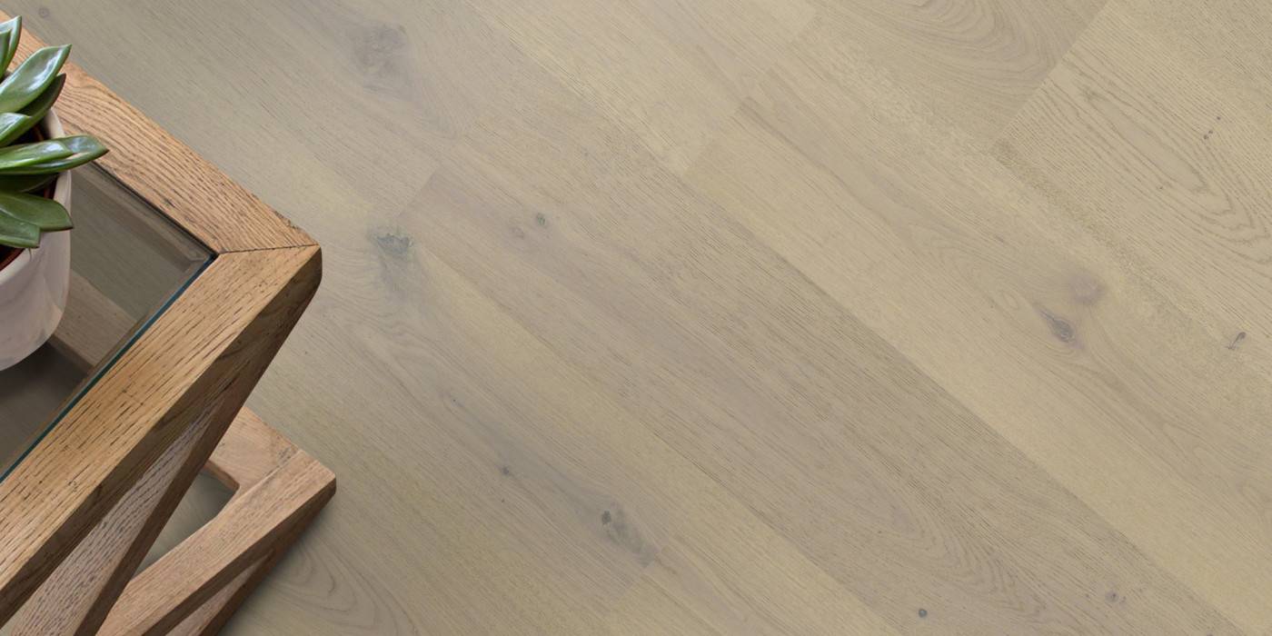 Wooden table with a plant on a light wood floor