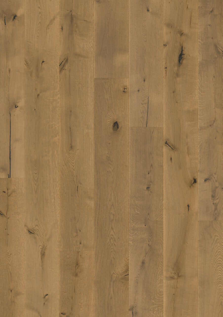 Massimo - Dark Chocolate Oak Extra Matt