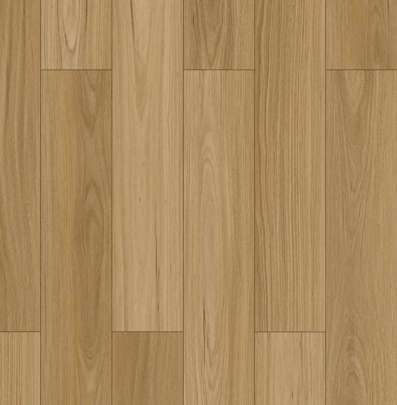 Forestbrook - Blackbutt