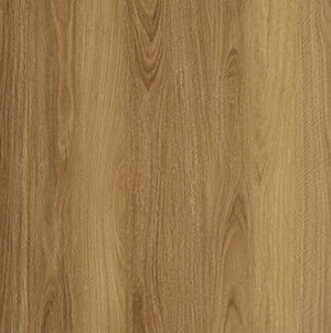 Forestbrook - Shadowed Spotted Gum