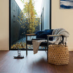 Australian Hybrid - Southern Spotted Gum