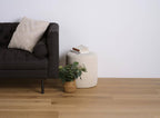 Modern living room with a dark gray sofa, small table, and plant on a wooden floor.