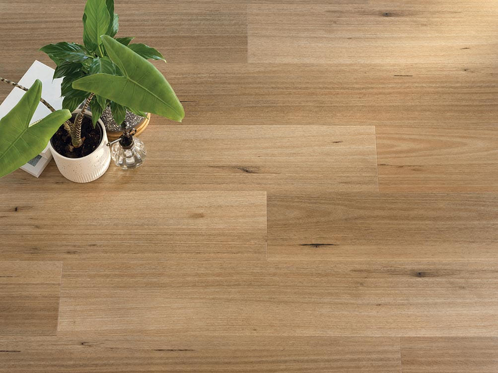 Wooden floor with a potted plant on a wooden surface